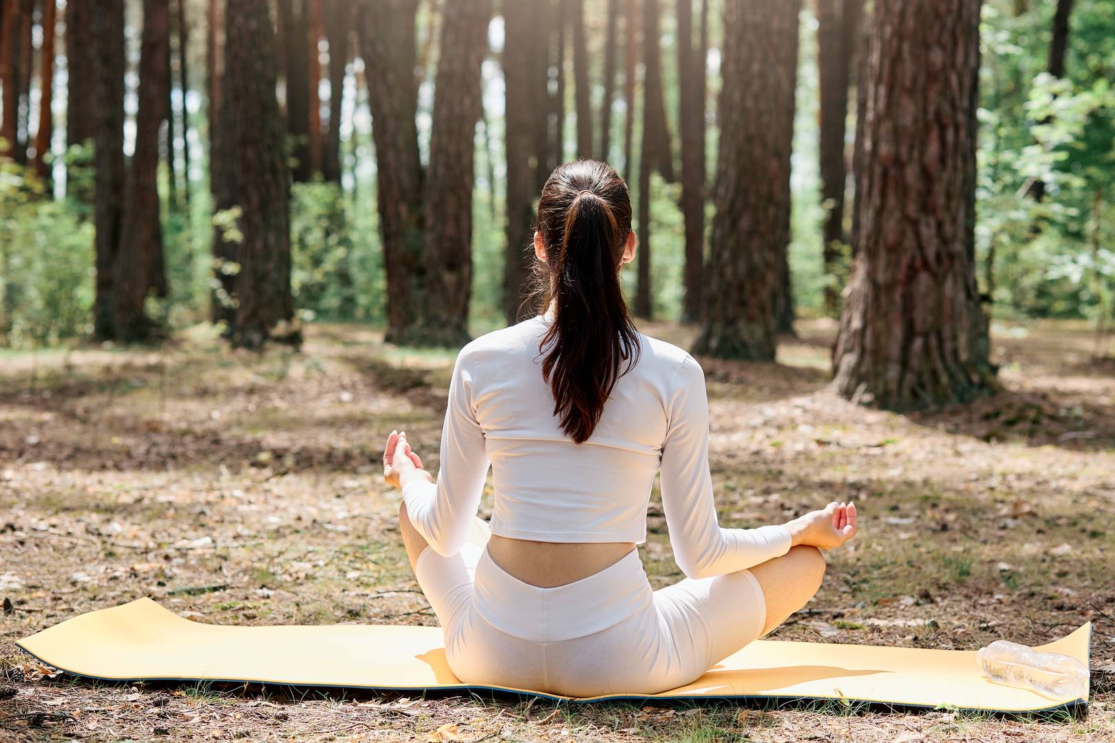 Forest Wellness Ritual