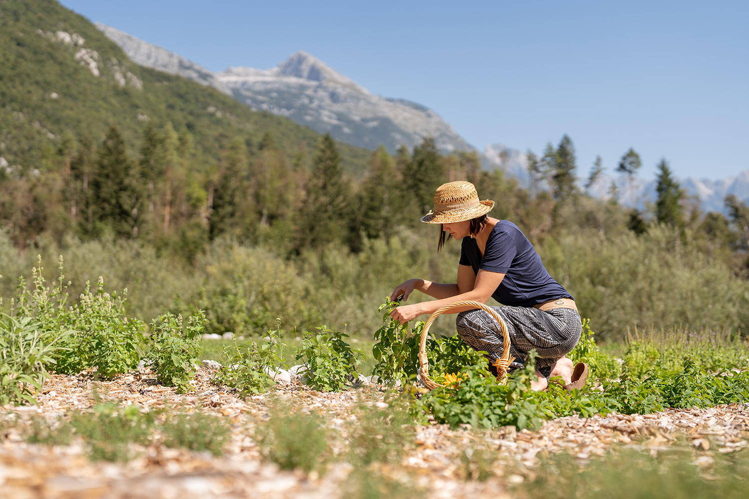 Gaja Herbal Garden